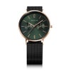 BERING Ladies Unisex Changes Green 36mm 14236-569（ベーリング メンズ レディース ユニセックス腕時計 グリーンフェイス 緑文字盤）