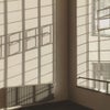 バウハウスデッサウ校舎誕生100周年記念 Bauhaus Walter Gropius (バウハウス・ヴァルター・グロピウス) ニューバウハウス デッサウ1925シリーズ メンズ ユニセックス腕時計 WGN003-22